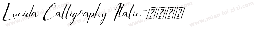 Lucida Calligraphy Italic字体转换